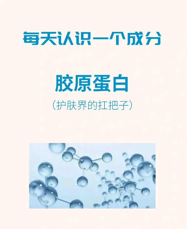 护肤界的扛把子——胶原蛋白